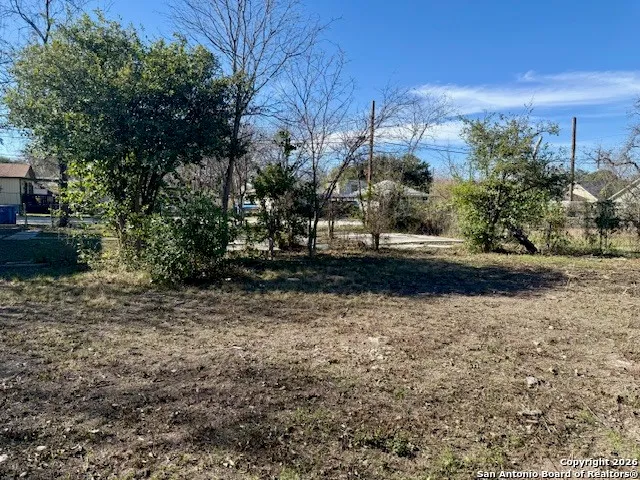 a view of a yard with an trees