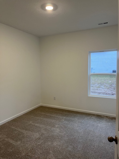 142 Winding Brk Way Pendleton, IN 46064 - Photo 9 of 14