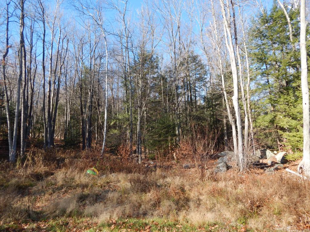 146 Old Wilton Road New Ipswich, NH 03071 - Photo 33 of 36 Gallery Image 33