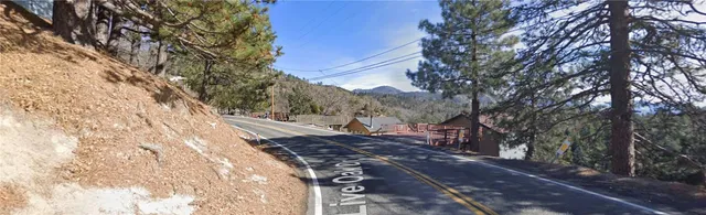 a view of a forest filled with trees