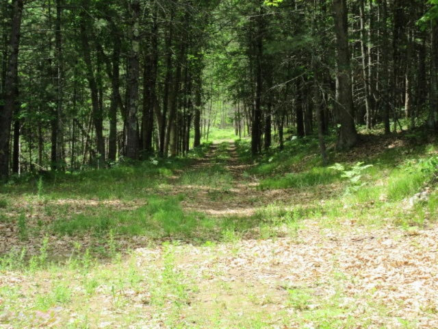Baseline Road White Cloud, MI 49349 - Photo 14 of 31 IMG_1030
