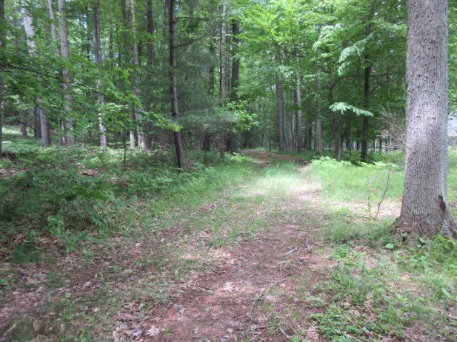 Baseline Road White Cloud, MI 49349 - Photo 3 of 31 IMG_1019