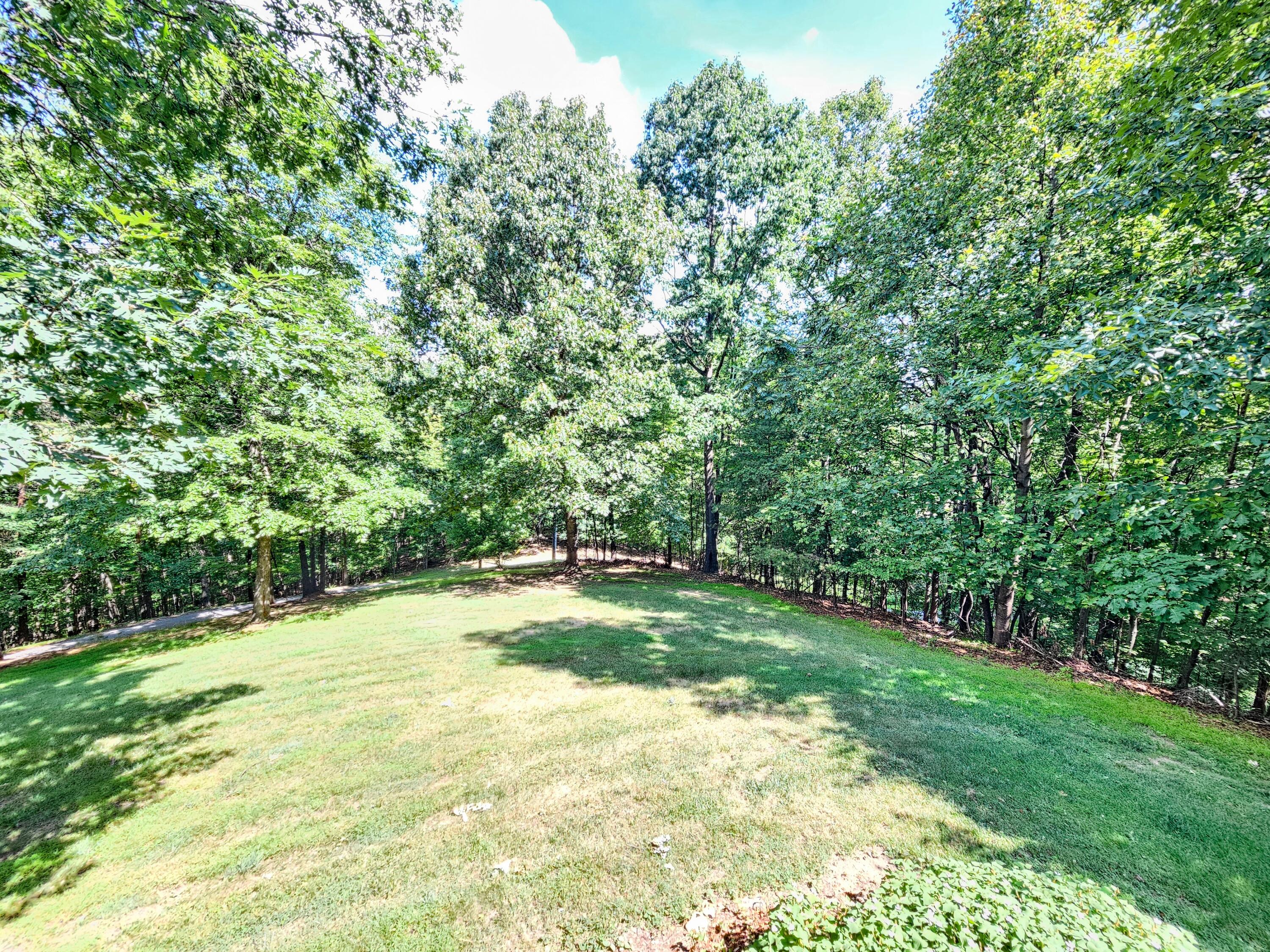634 Zimmerman Road Blue Ridge, VA 24064 - Photo 50 of 55 20260622_105135