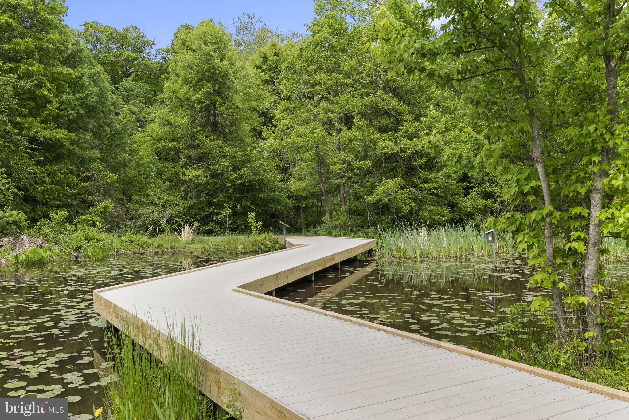 4626 Olivine Drive Chantilly, VA 20151 - Photo 47 of 50