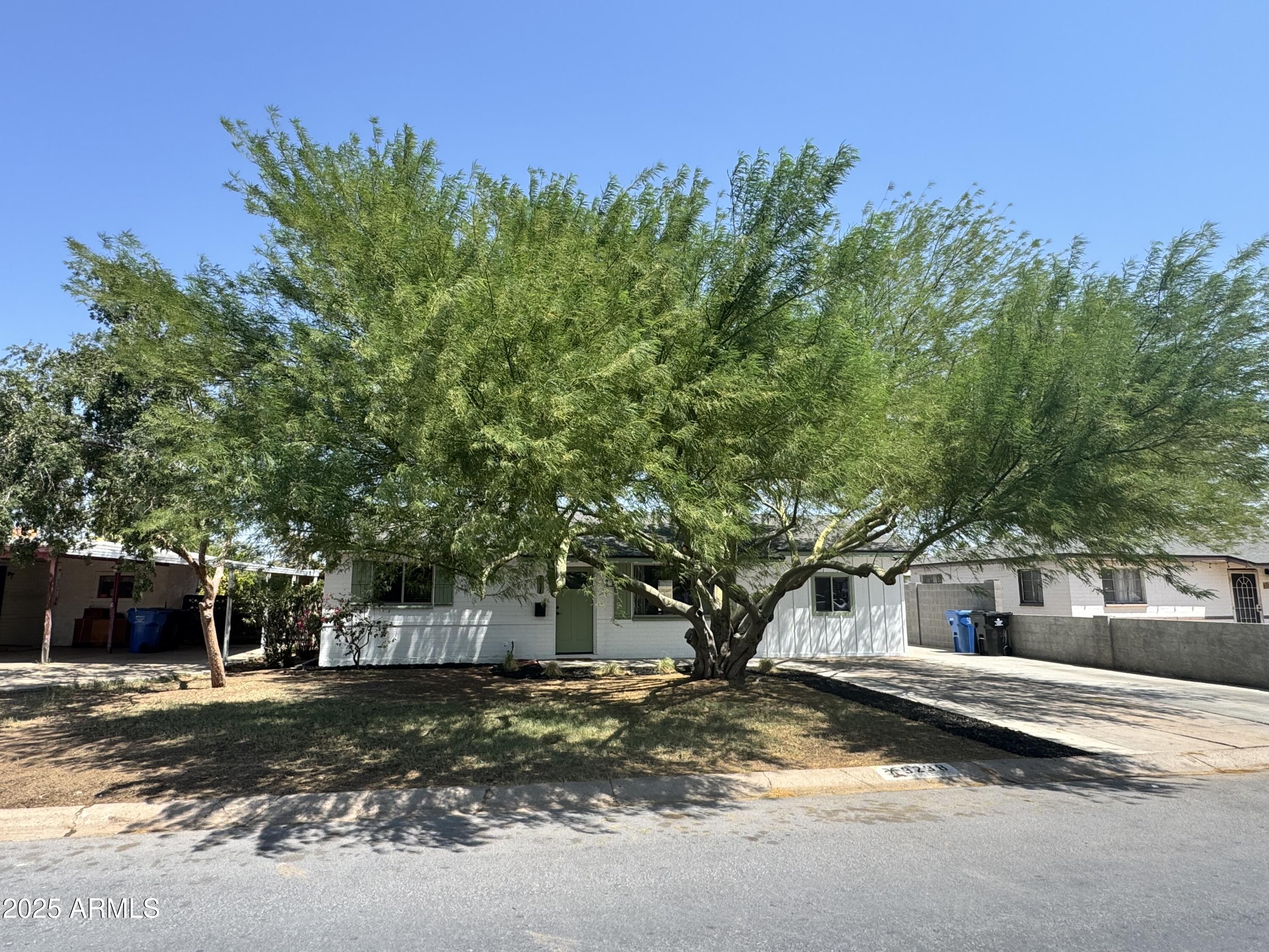 a view of a tree in front of a house