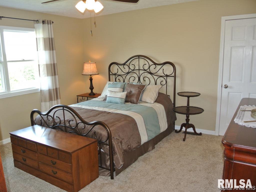 2481 Arnold Road Jacksonville, IL 62650 - Photo 26 of 36