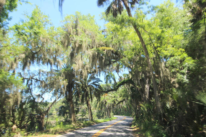 3998 Dakota Circle Ormond Beach, FL 32174 - Photo 45 of 60 thru the park to beach