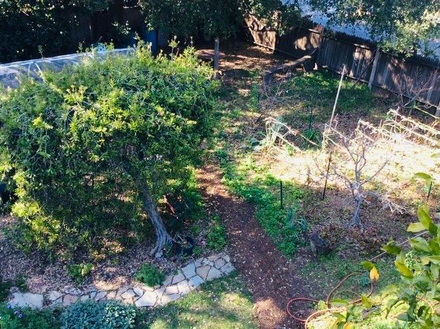 1280 Grant Road Los Altos, CA 94024 - Photo 10 of 12