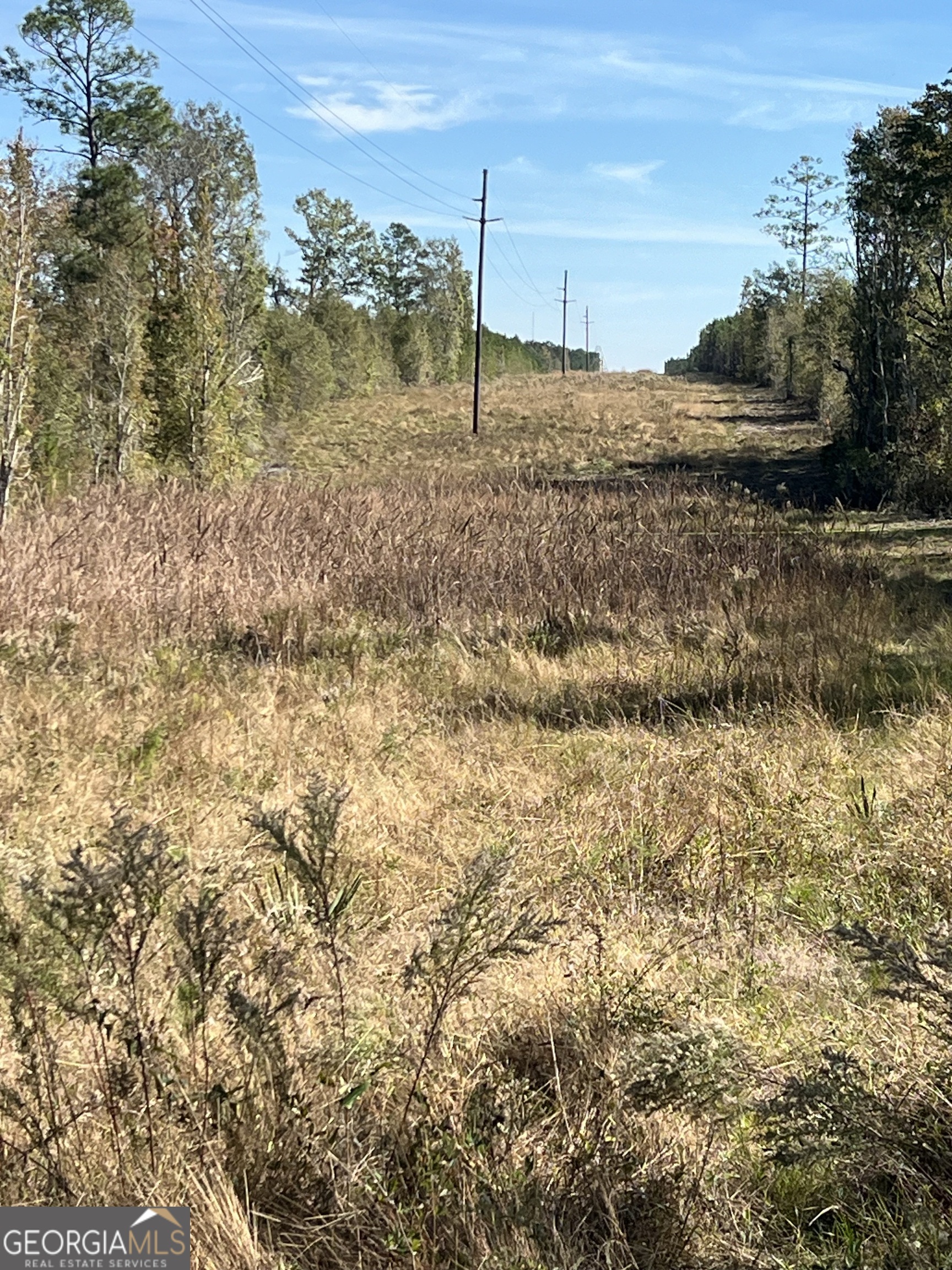 1432 Rozar-Goolsby Road Eastman, GA 31023 - Photo 6 of 6