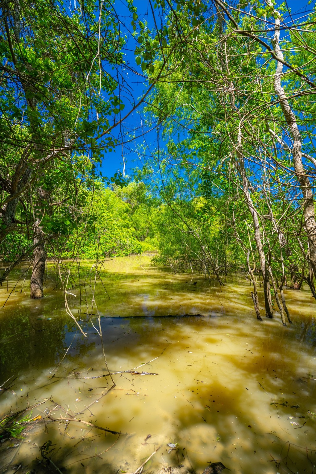 0 Park Road Port Lavaca, TX 77979 - Photo 11 of 19 a view of an ocean