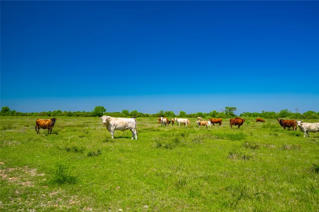 a view of a grassy field with chairs