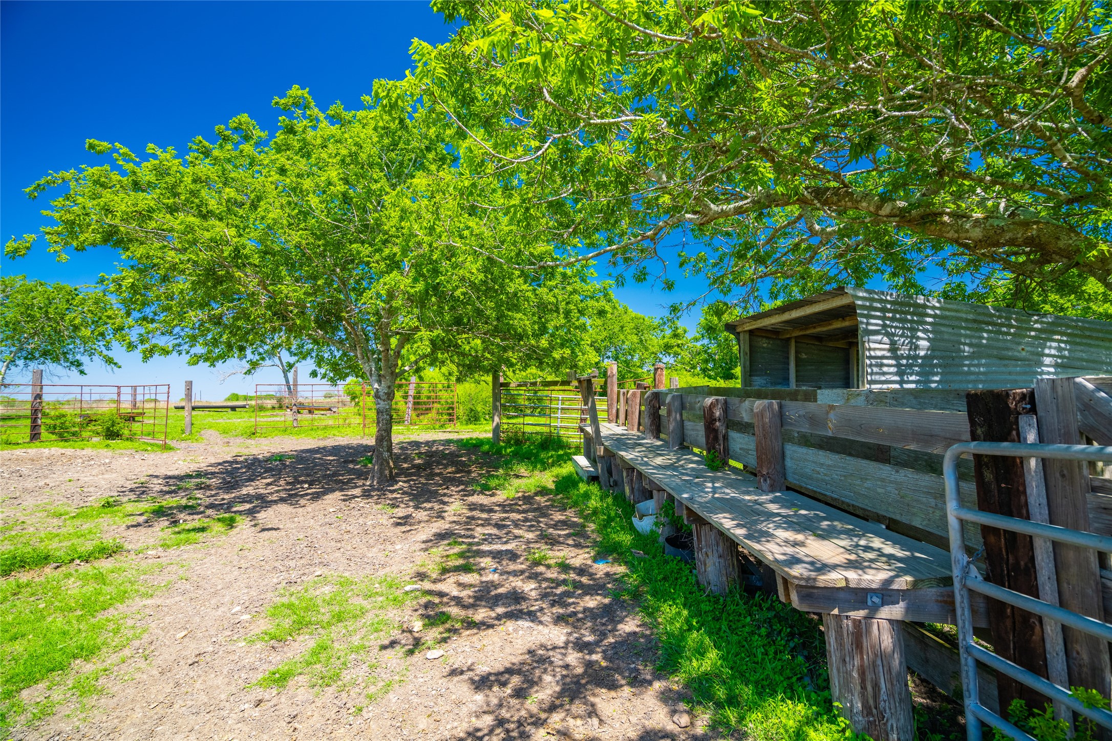 0 Park Road Port Lavaca, TX 77979 - Photo 8 of 19 a view of a backyard with plants and large trees
