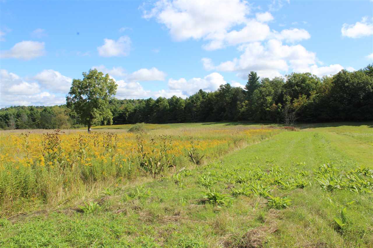 Lot 8 Morgan Road North Ferrisburgh, VT 05473 - Photo 11 of 40 Gallery Image 11