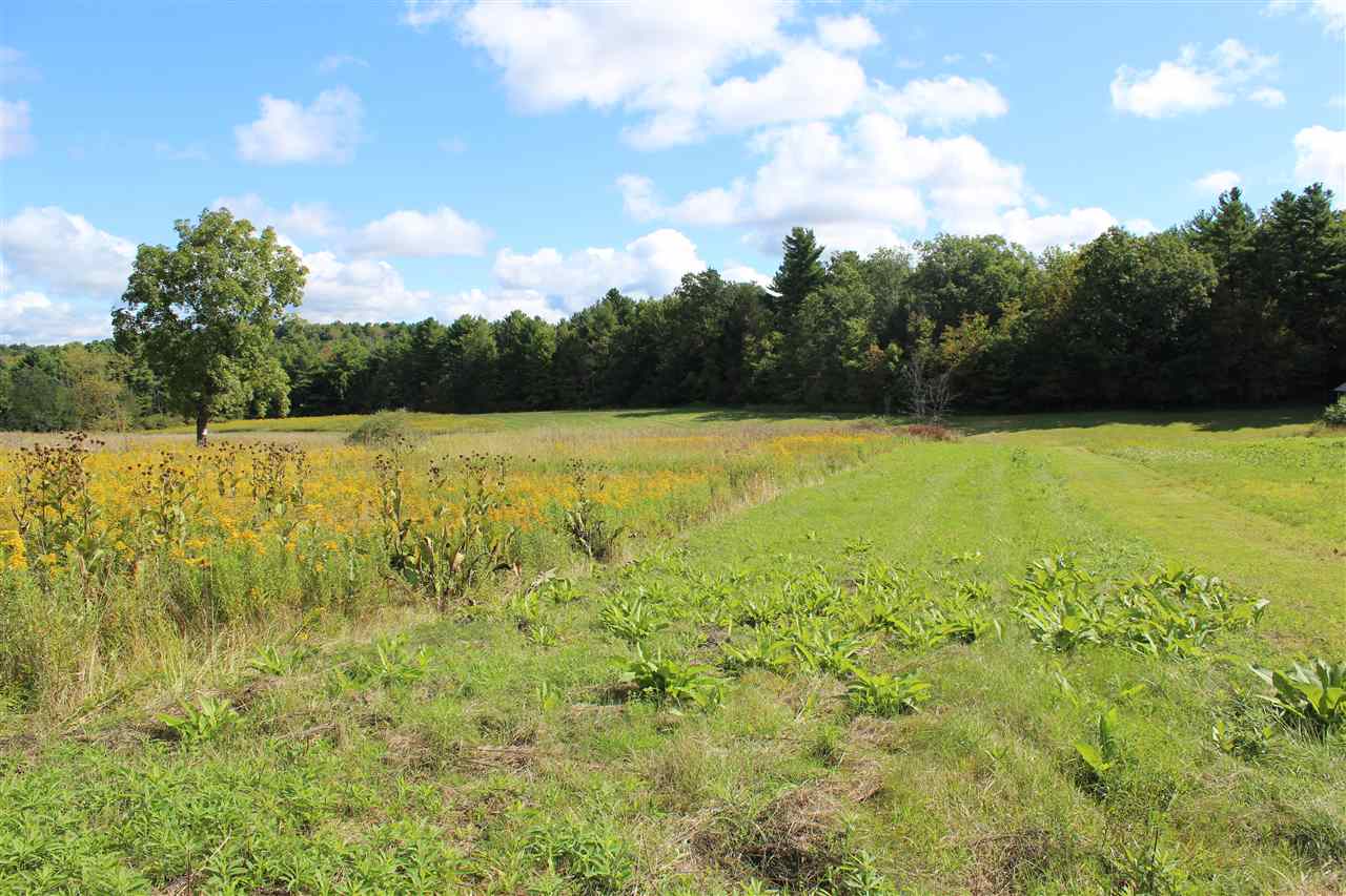 Lot 8 Morgan Road North Ferrisburgh, VT 05473 - Photo 12 of 40 Gallery Image 12