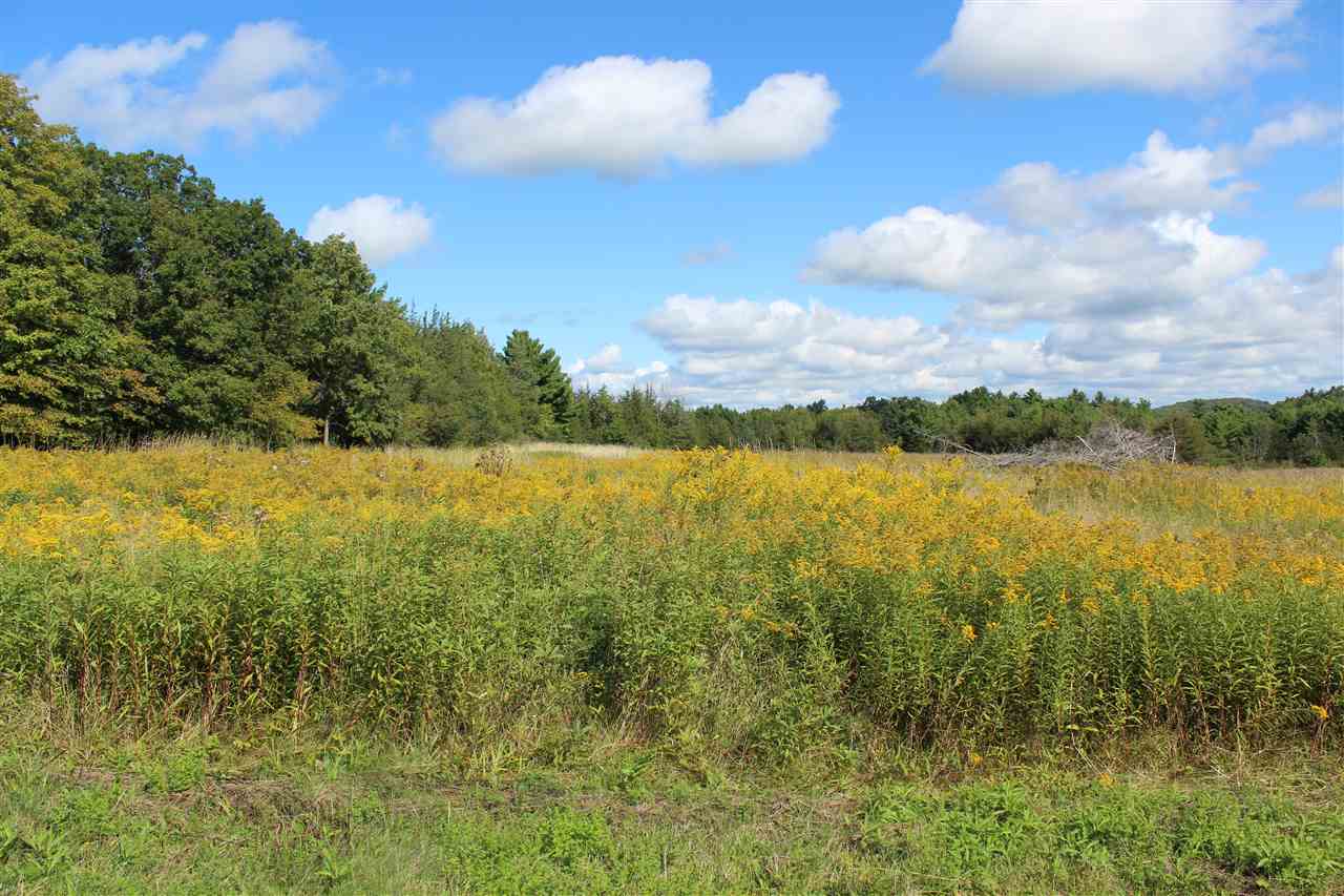 Lot 8 Morgan Road North Ferrisburgh, VT 05473 - Photo 13 of 40 Gallery Image 13