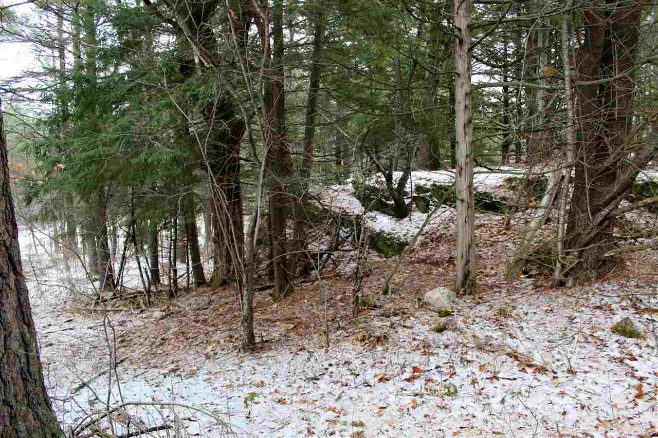 Lot 8 Morgan Road North Ferrisburgh, VT 05473 - Photo 24 of 40 Gallery Image 24