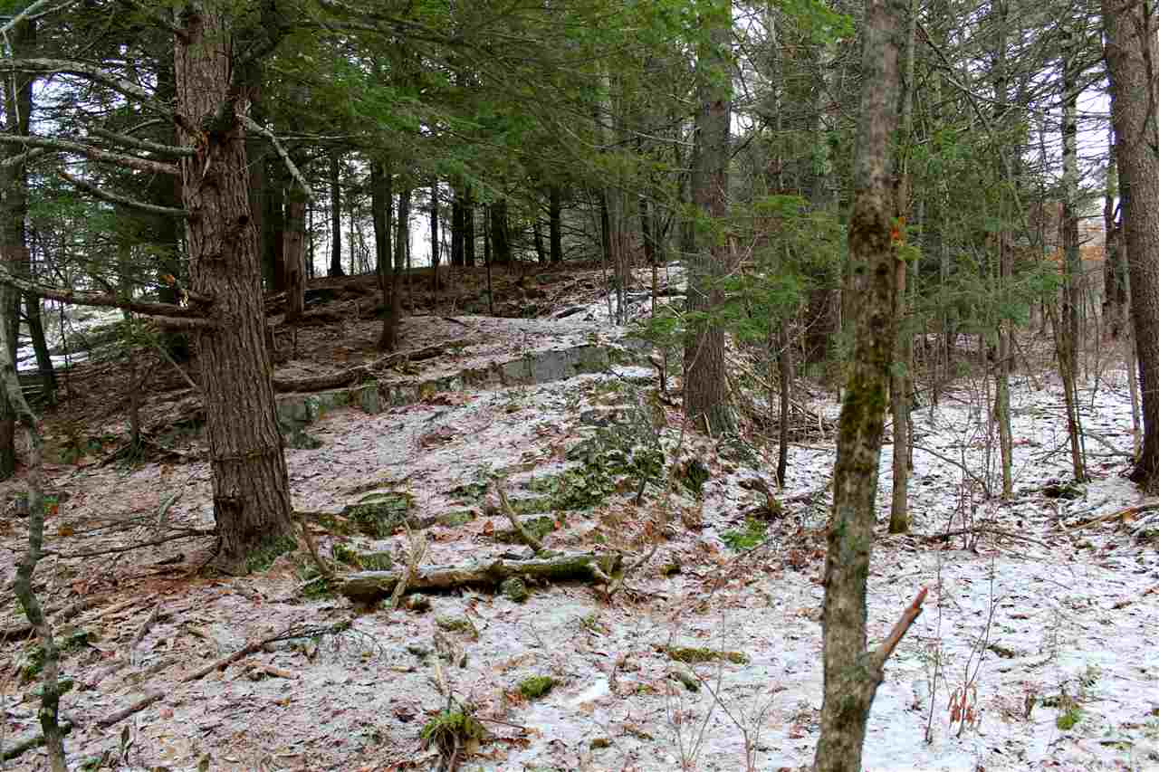 Lot 8 Morgan Road North Ferrisburgh, VT 05473 - Photo 27 of 40 Gallery Image 27