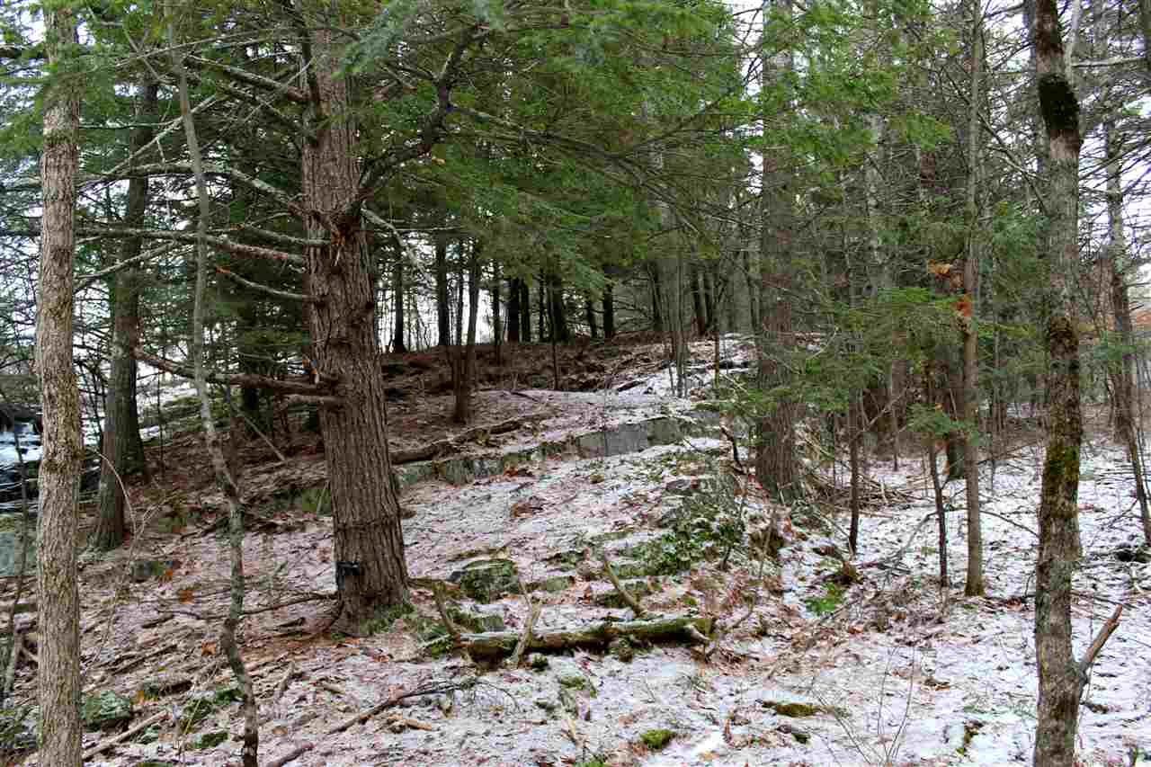 Lot 8 Morgan Road North Ferrisburgh, VT 05473 - Photo 28 of 40 Gallery Image 28
