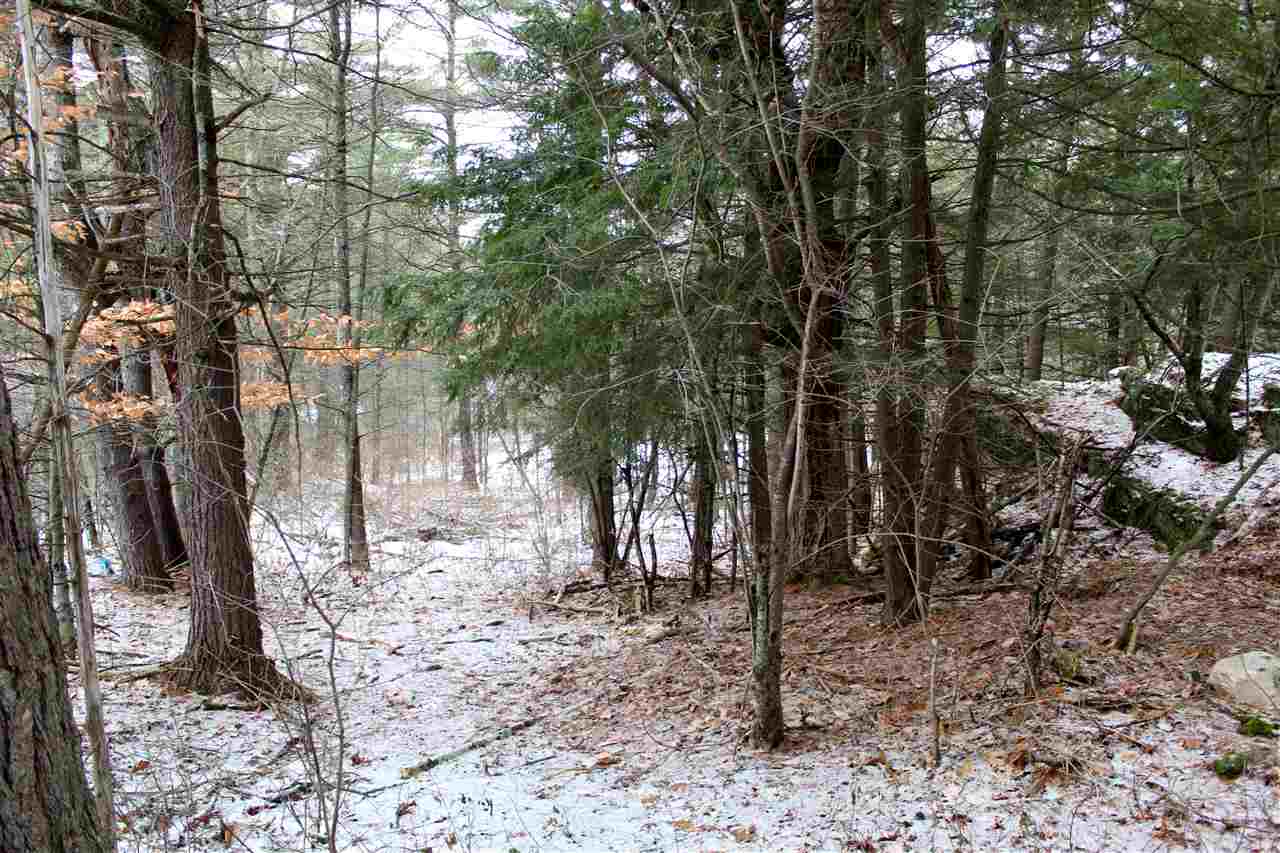 Lot 8 Morgan Road North Ferrisburgh, VT 05473 - Photo 29 of 40 Gallery Image 29