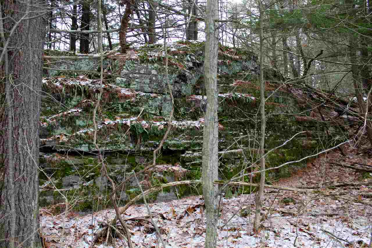 Lot 8 Morgan Road North Ferrisburgh, VT 05473 - Photo 33 of 40 Gallery Image 33
