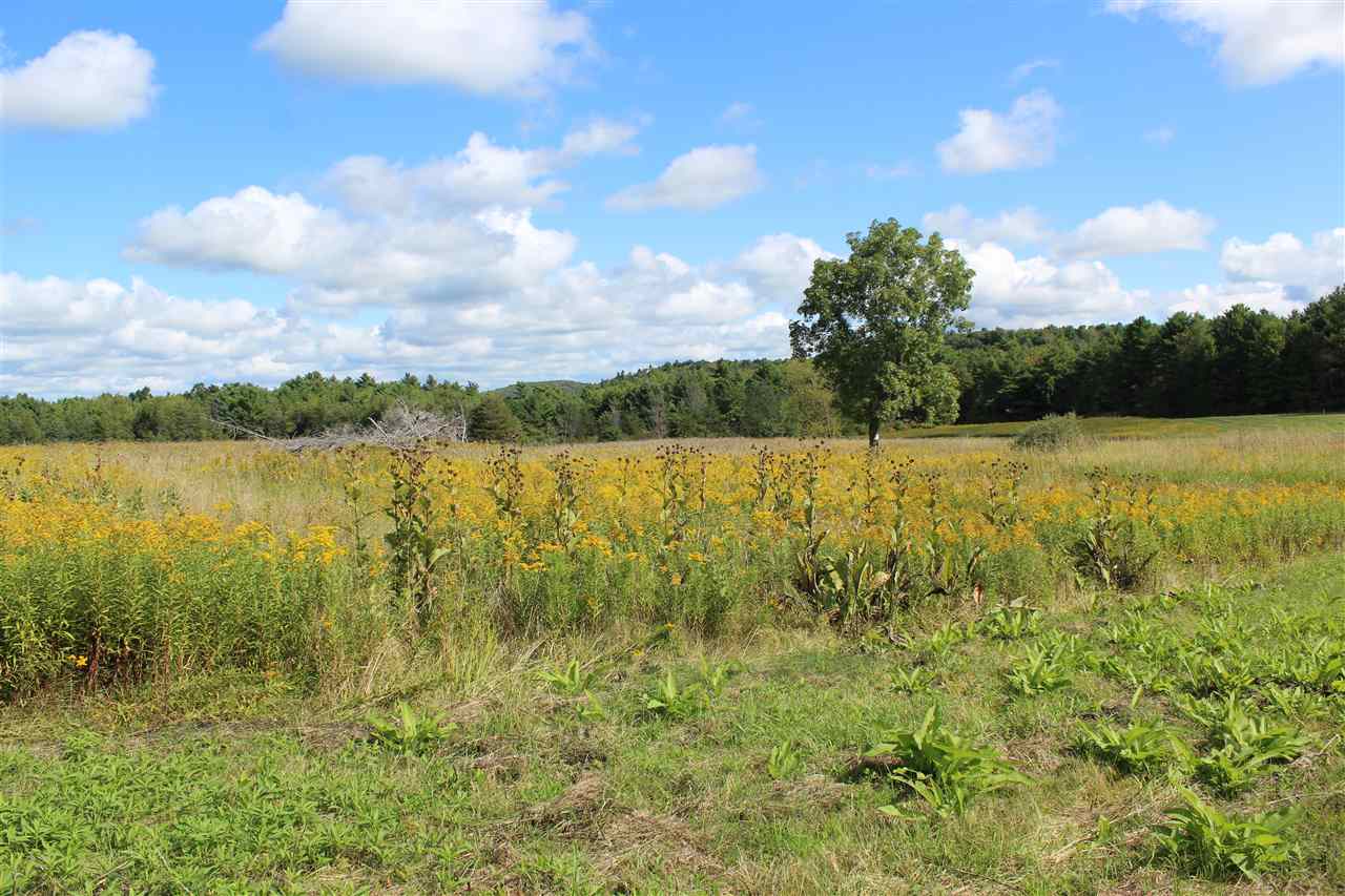 Lot 8 Morgan Road North Ferrisburgh, VT 05473 - Photo 5 of 40 Gallery Image 5