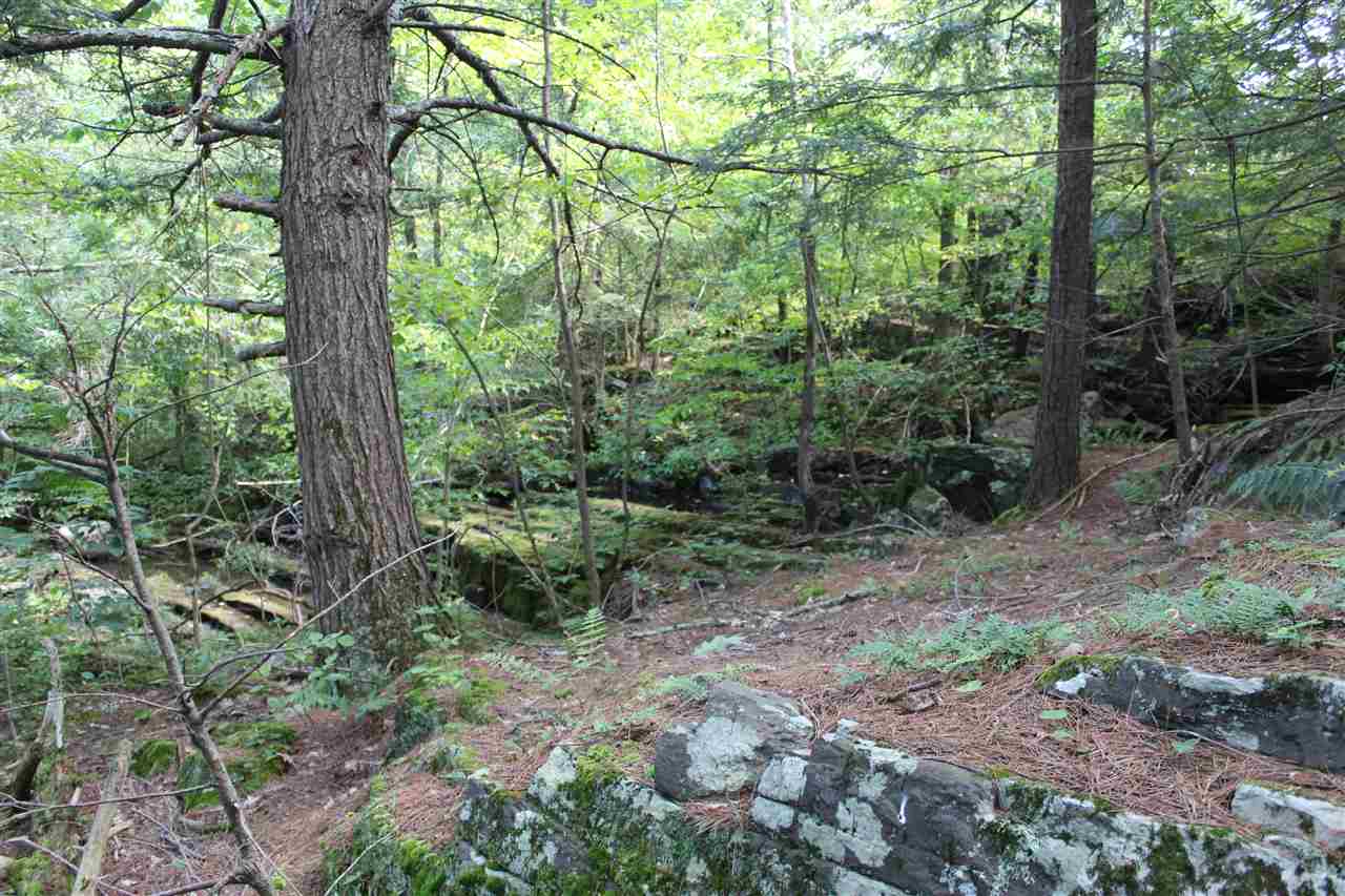 Lot 8 Morgan Road North Ferrisburgh, VT 05473 - Photo 10 of 40 Gallery Image 10
