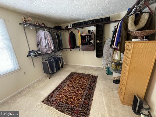 10500 Labrador Loop Manassas, VA 20112 - Photo 19 of 24 4th Bedroom Turned into Closet