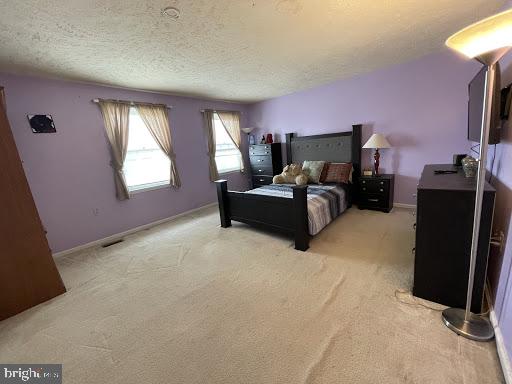 10500 Labrador Loop Manassas, VA 20112 - Photo 21 of 24 2nd Master Size Bedroom w/ 2 closets