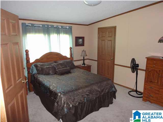180 Hoyt Hill Road Ashville, AL 35953 - Photo 14 of 32