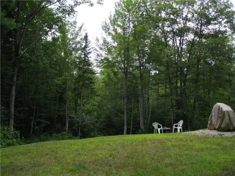 Yard/Garden. Private back yard