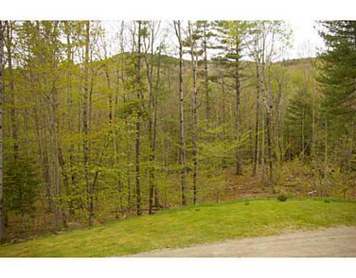 35 Ragged Mountain Road Camden, ME 04843 - Photo 22 of 25 Yard/Garden.