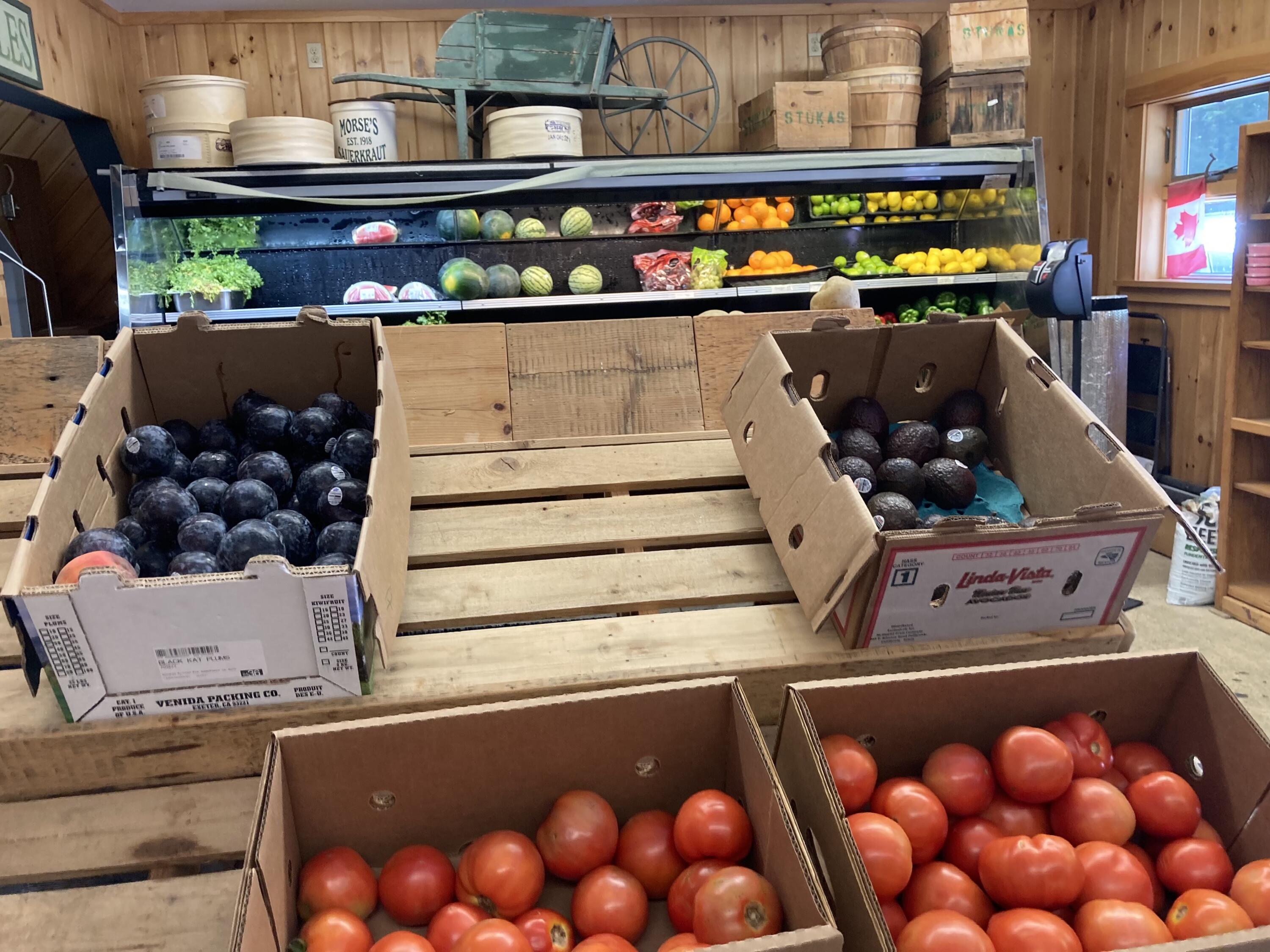 509 Harpswell Neck Road Harpswell, ME 04079 - Photo 64 of 72 IMG_8134