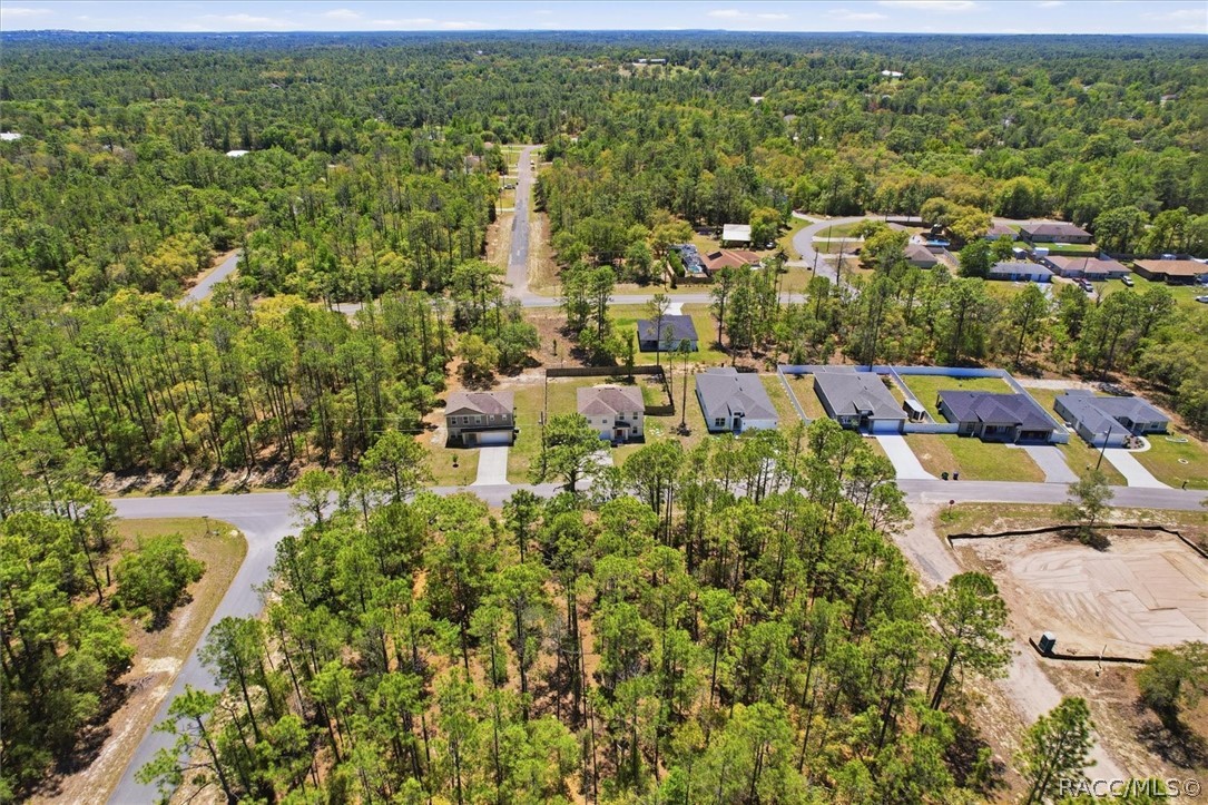 2934 West Higgins Place Dunnellon, FL 34433 - Photo 39 of 46