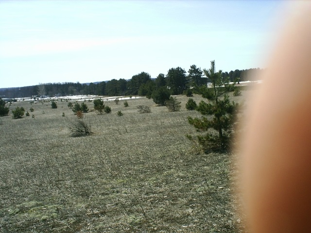 Off Off Doerr Road Mancelona, MI 49659 - Photo 7 of 9 1844344-6.JPG