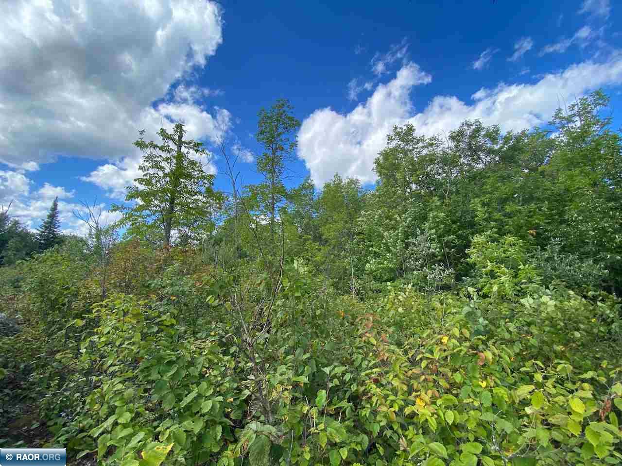 Tbd Lot 10 Wilderness Way Road Orr, MN 55771 - Photo 23 of 26 Gallery Image 23