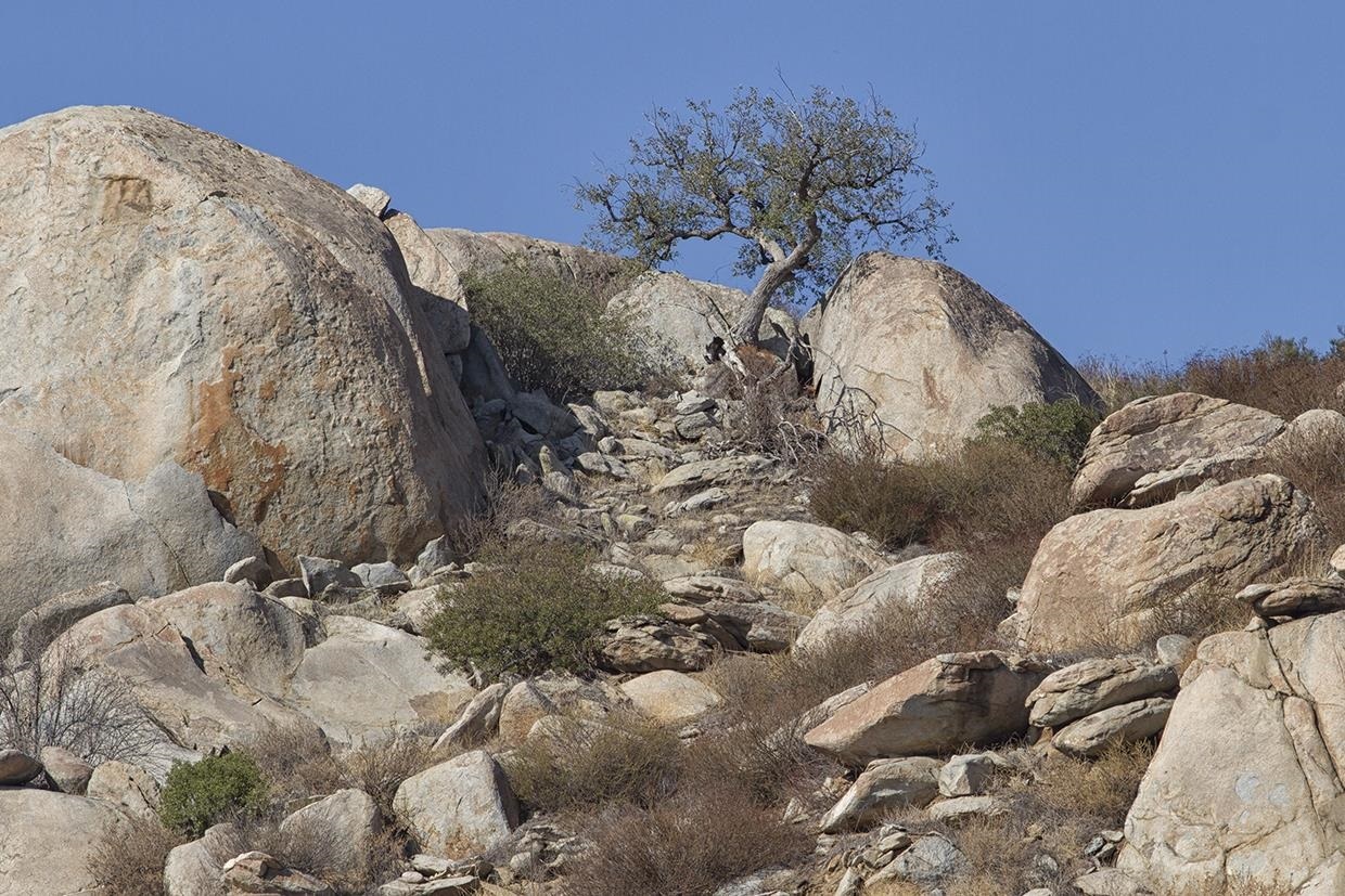 23719 Vista Ramona Road Ramona, CA 92065 - Photo 13 of 14