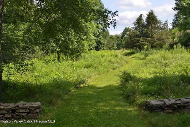 a view of a lush green space