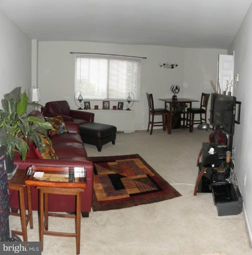 5340 Holmes Run Parkway, Unit 516 Alexandria, VA 22304 - Photo 10 of 15 Living Room
