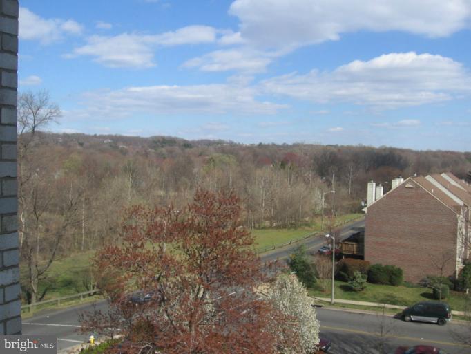 5340 Holmes Run Parkway, Unit 516 Alexandria, VA 22304 - Photo 13 of 15 View from unit