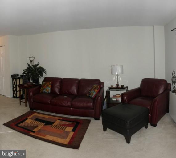 5340 Holmes Run Parkway, Unit 516 Alexandria, VA 22304 - Photo 9 of 15 Living Room
