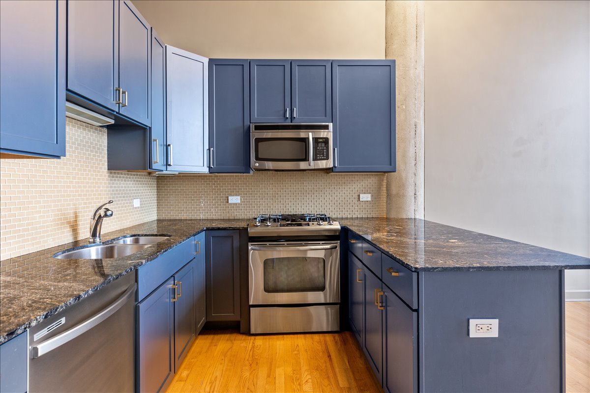 2545 South Dearborn Street, Unit 331 Chicago, IL 60616 - Photo 10 of 33