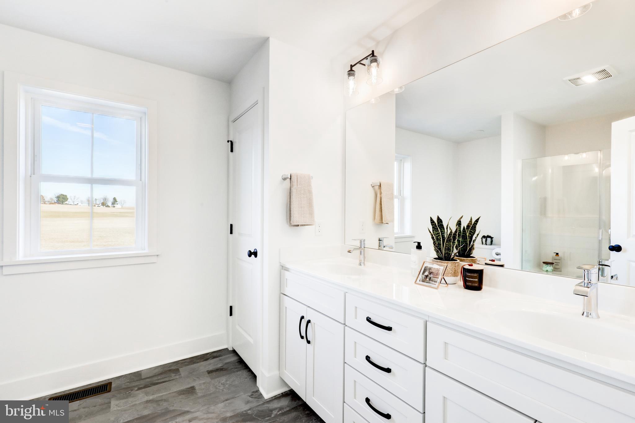 223 Coffee Goss Road Marietta, PA 17547 - Photo 14 of 19 a bathroom with double vanity sink a mirror and shower