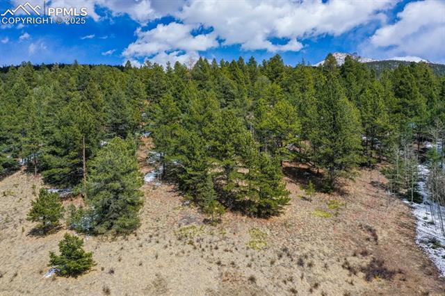 Tbd Valley Road Divide, CO 80814 - Photo 12 of 30 Bird's eye view featuring a wooded view
