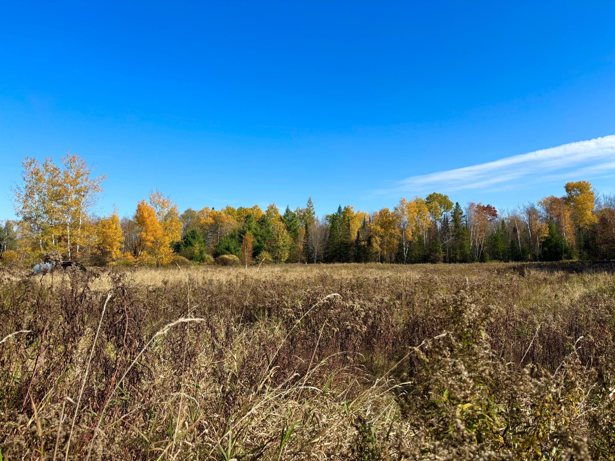N6441 Lindow Road Prentice, WI 54556 - Photo 12 of 46 Gallery Image 12