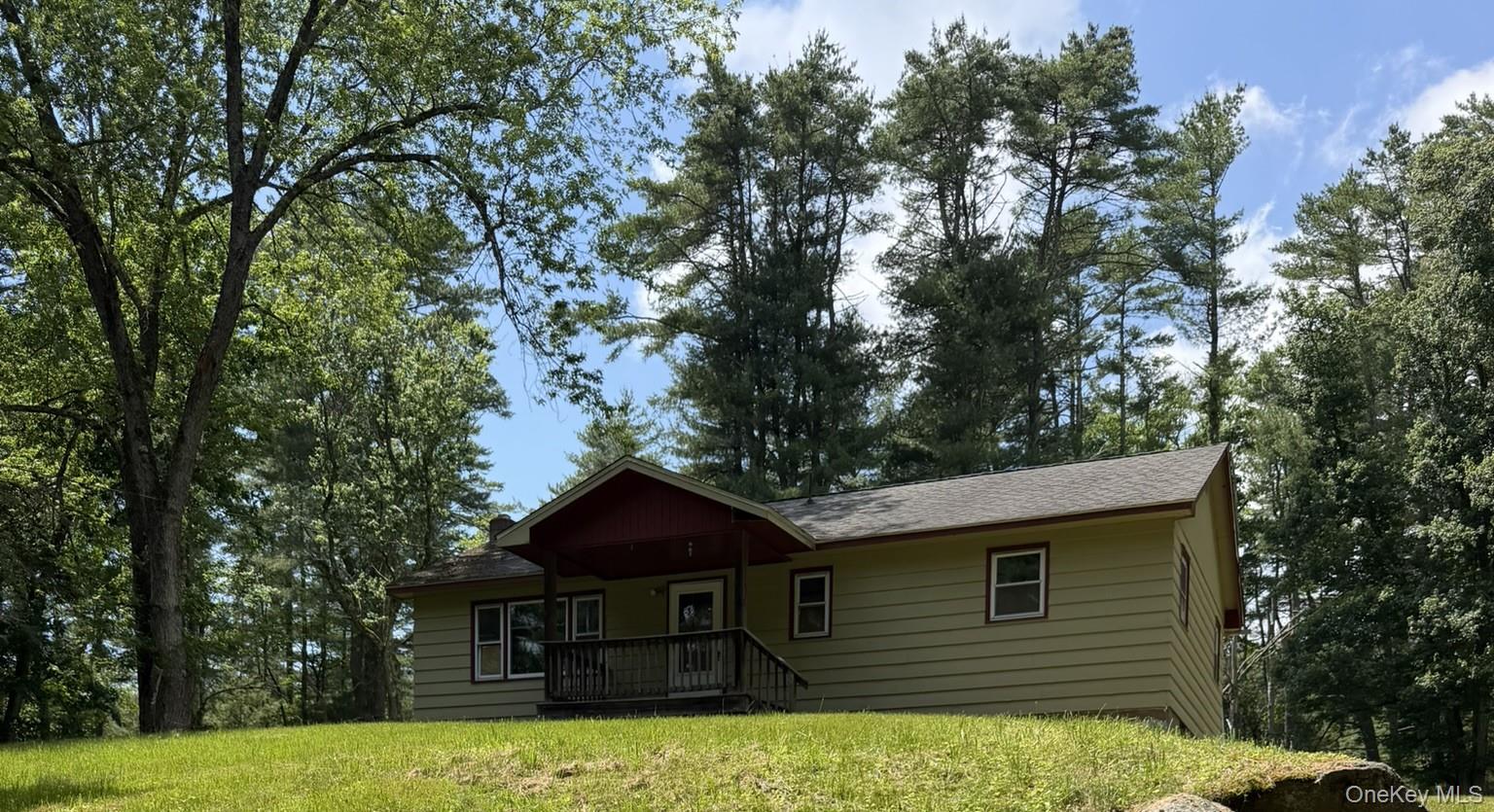 5 Steges Road Eldred, NY 12732 - Photo 2 of 19