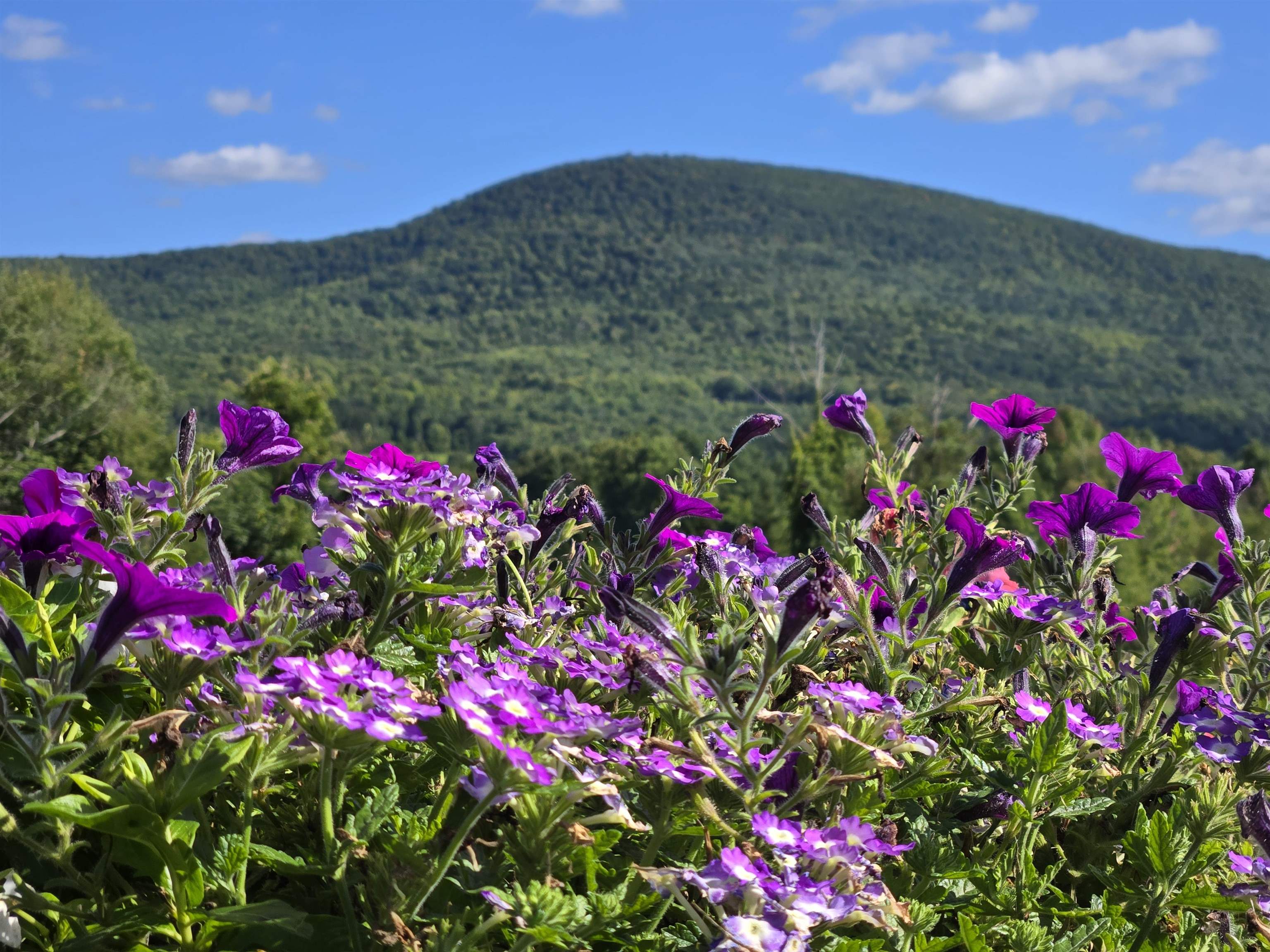 762 Houran Road Bennington, VT 05201 - Photo 31 of 31