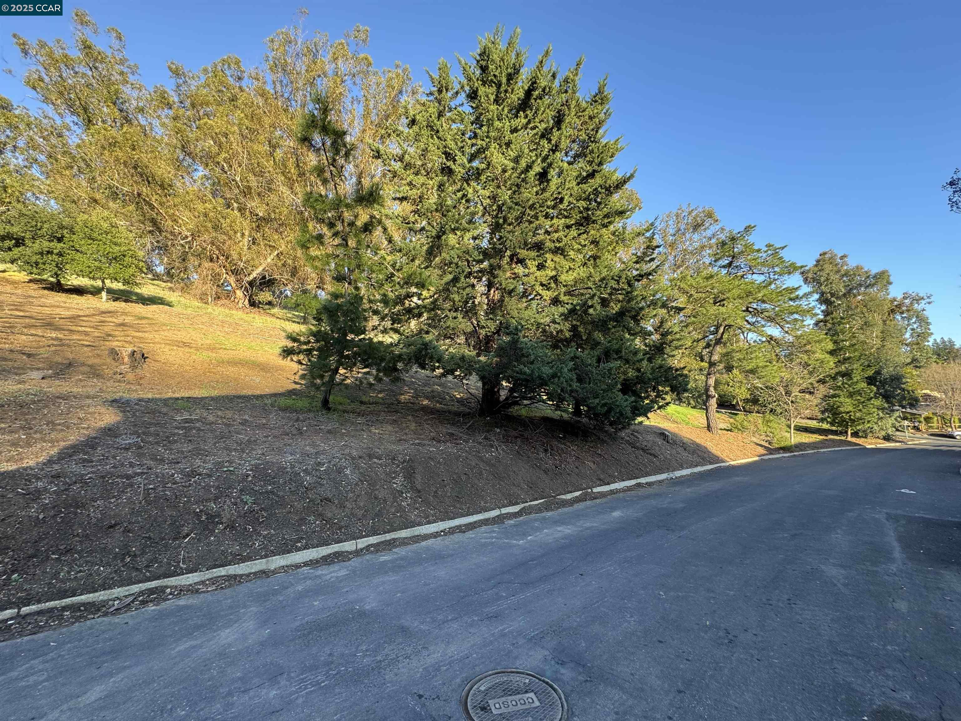Tice Valley Walnut Creek, CA 94595 - Photo 17 of 17 a view of a trees with a yard