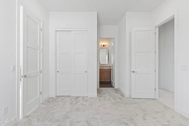 a close up of a plant in a garden