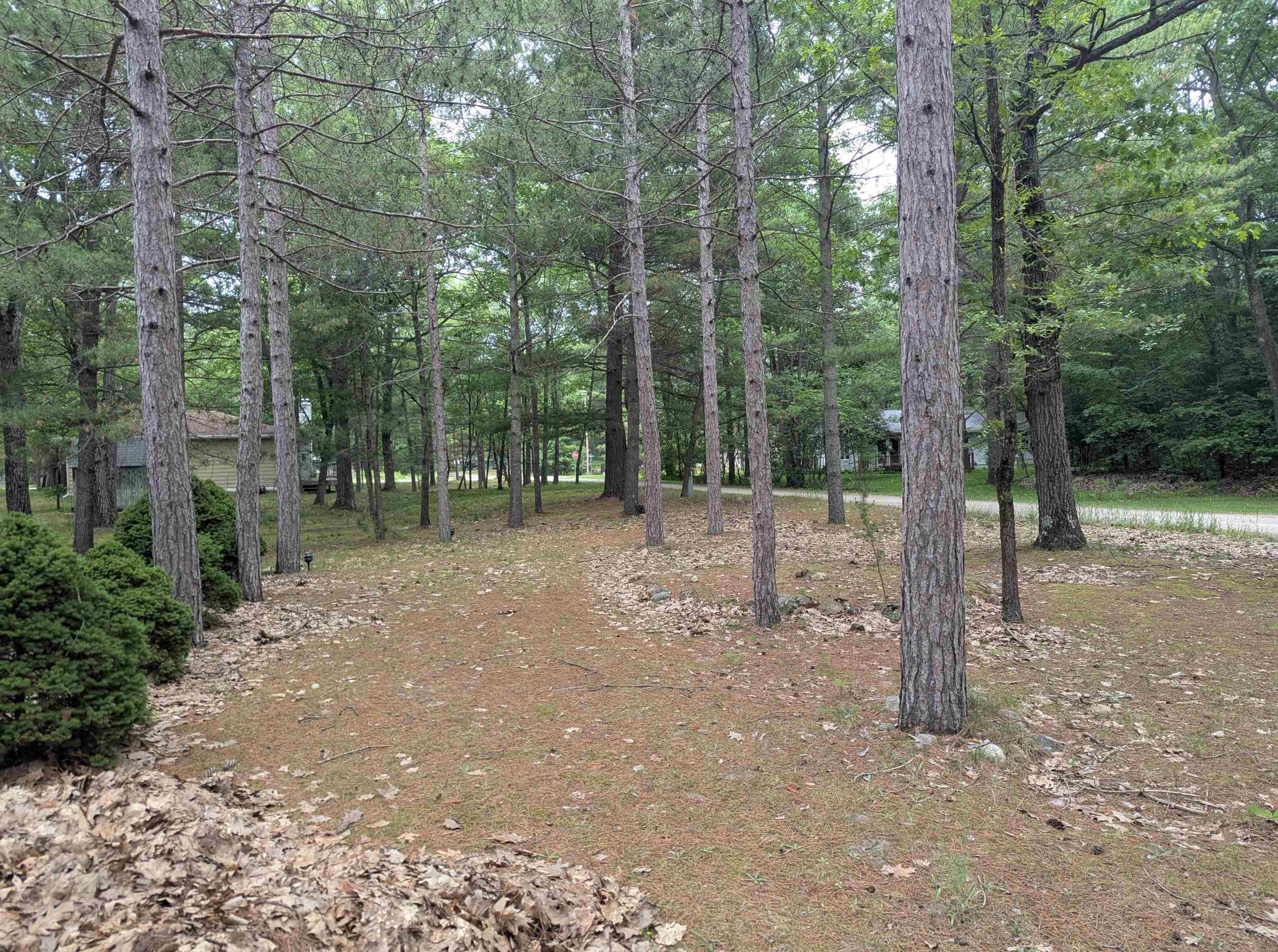 28 Pine Road Au Gres, MI 48703 - Photo 4 of 34