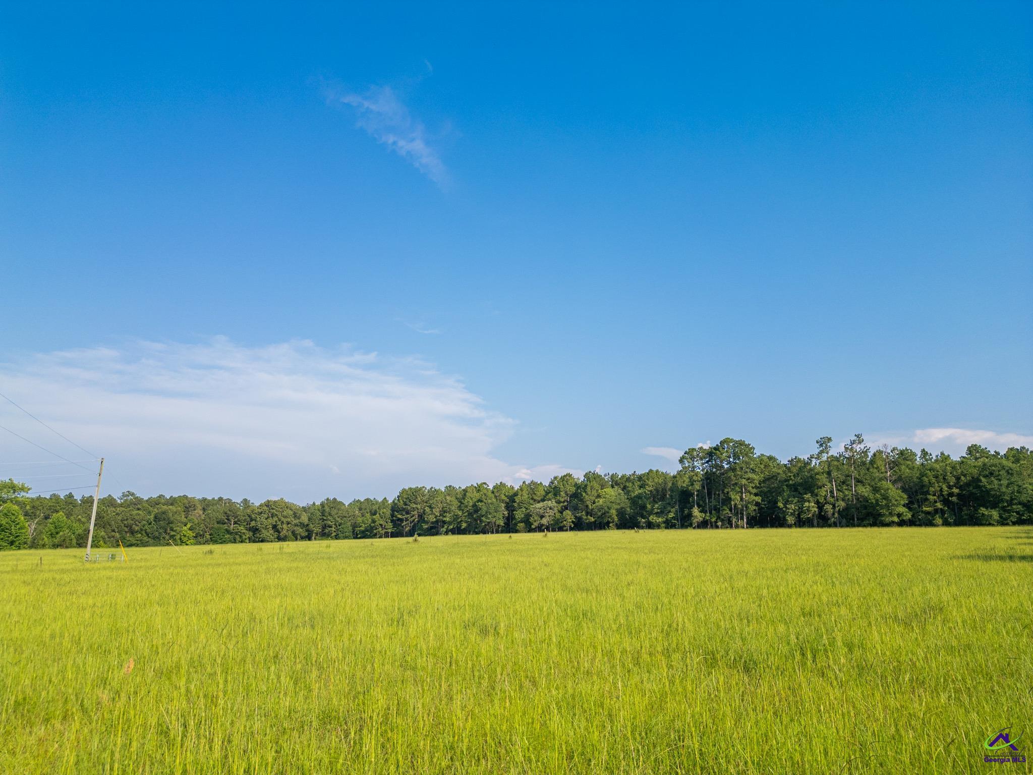 Southland Road Butler, GA 31006 - Photo 23 of 68